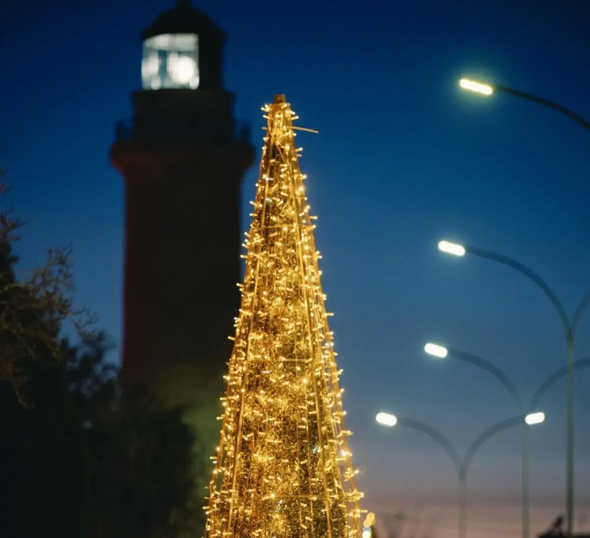 δενδρο-φαρος