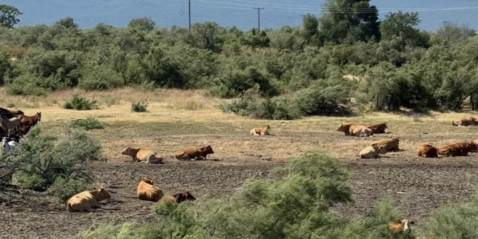 605736978_1207535654813827_3073953640463141321_n