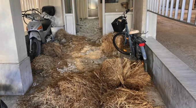 αγροτες-στυλιανιδης