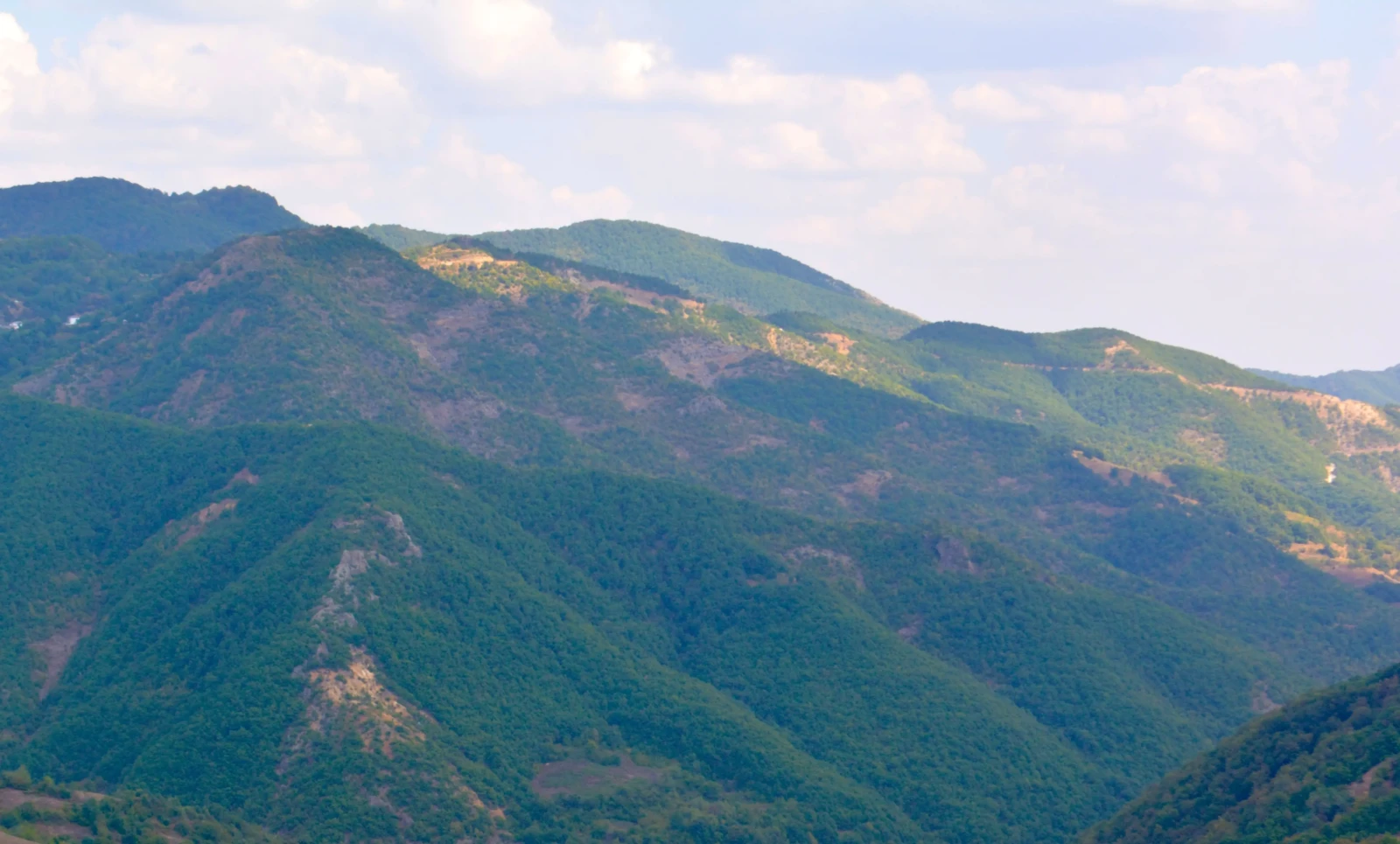 δαση-δενδροφυτευση