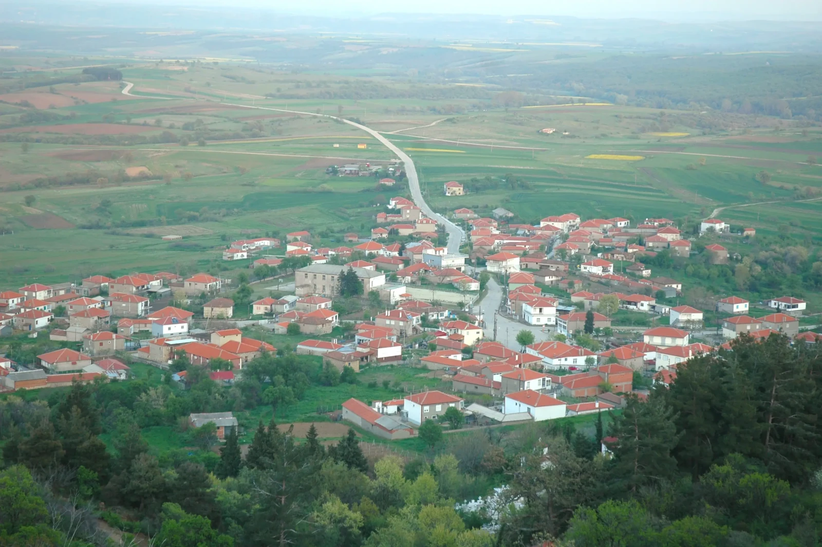 ΠΕΝΤΑΛΟΦΟΣ