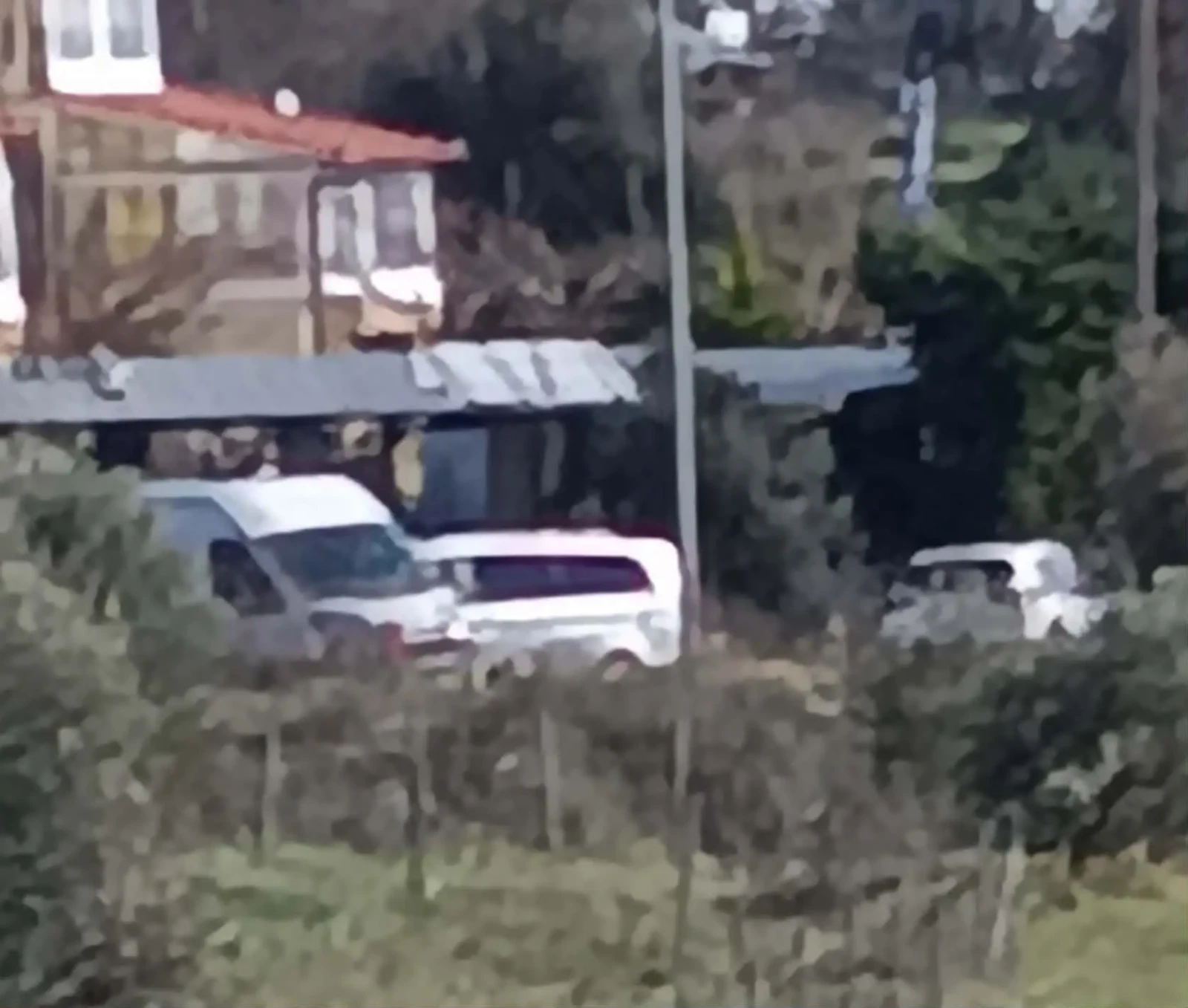 085b5530-a625-477a-b742-3b35774e7cfb