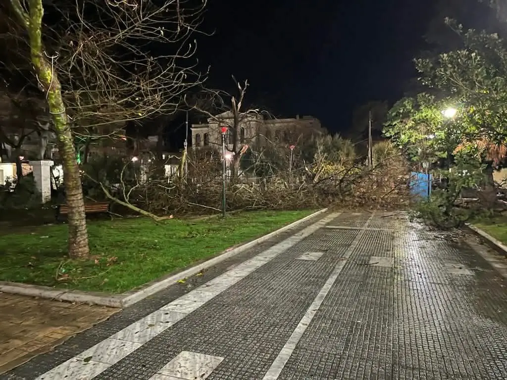 612928565_1312208490940823_6454402696687927490_n