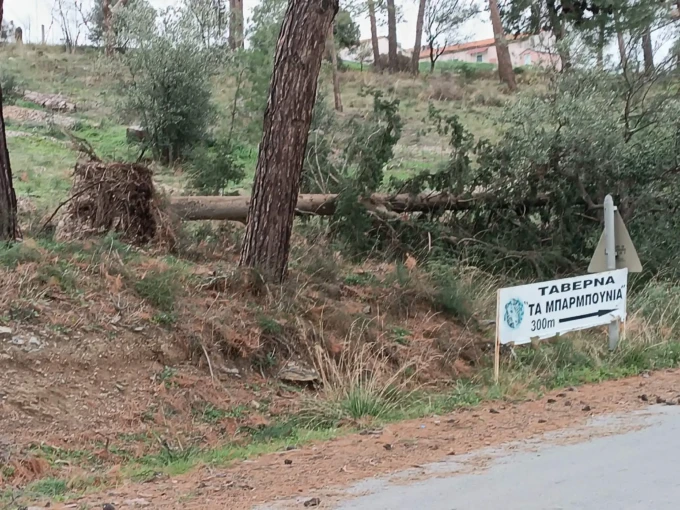 934b6129-aed0-4cee-90c8-9d3af553fd37