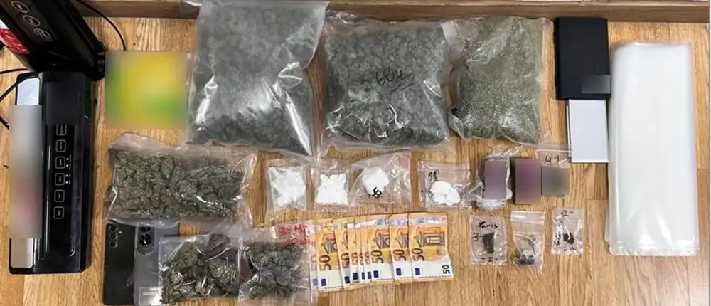 1000_1e61967b-40f0-404f-9372-31ab24306429