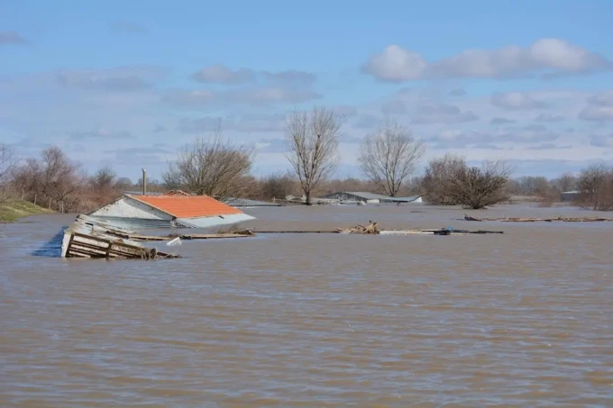 10918980_10153035421272389_159895534143431956_o