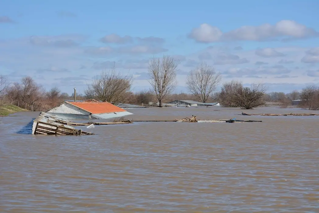 10918980_10153035421272389_159895534143431956_o