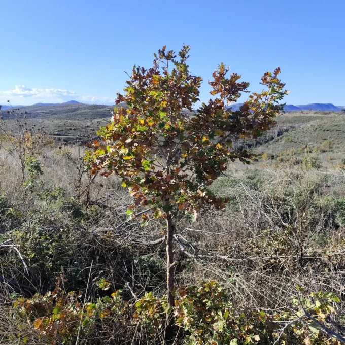 630462294_1204313631862066_6982686659491390510_n