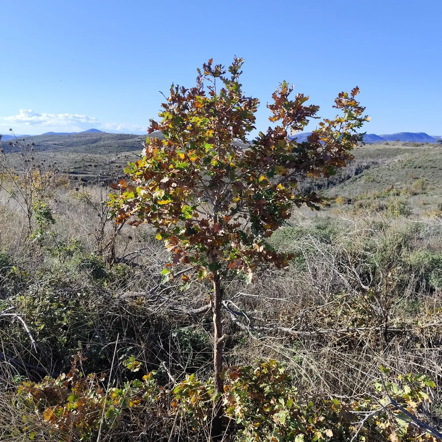 630462294_1204313631862066_6982686659491390510_n