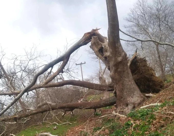 633795538_1256632009896944_224701830839944919_n