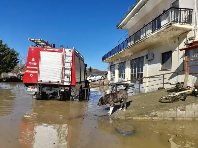 apeglovismos-768x576