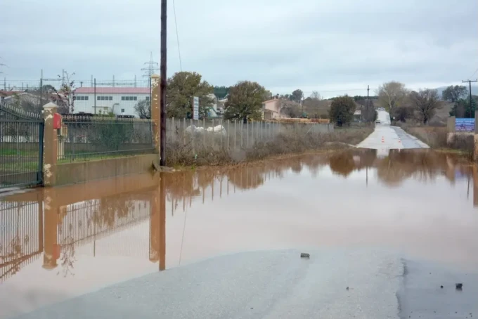 sxoleia-apalos-antheia