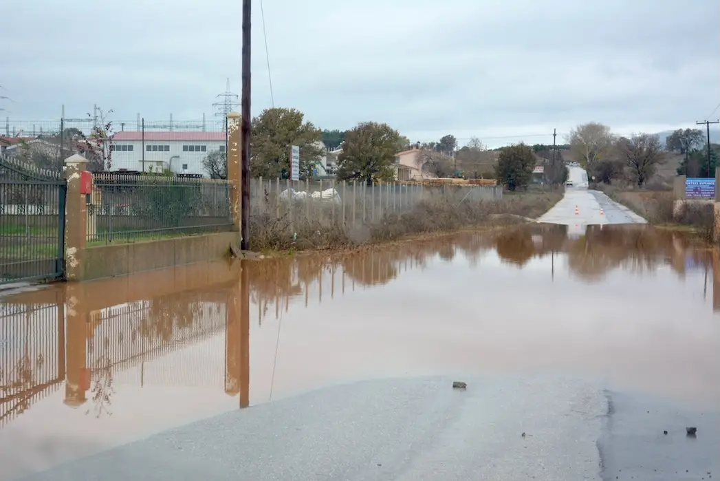 sxoleia-apalos-antheia