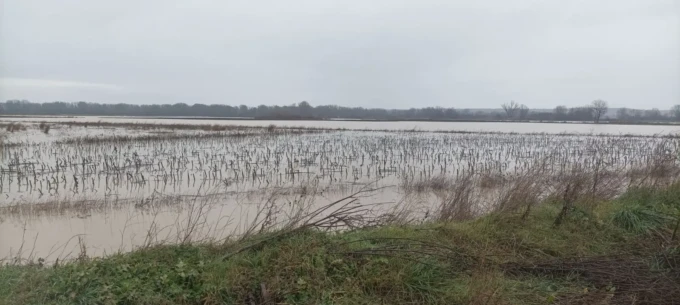 IMG-e1025acce761256fd26b8a72bf1f2477-V