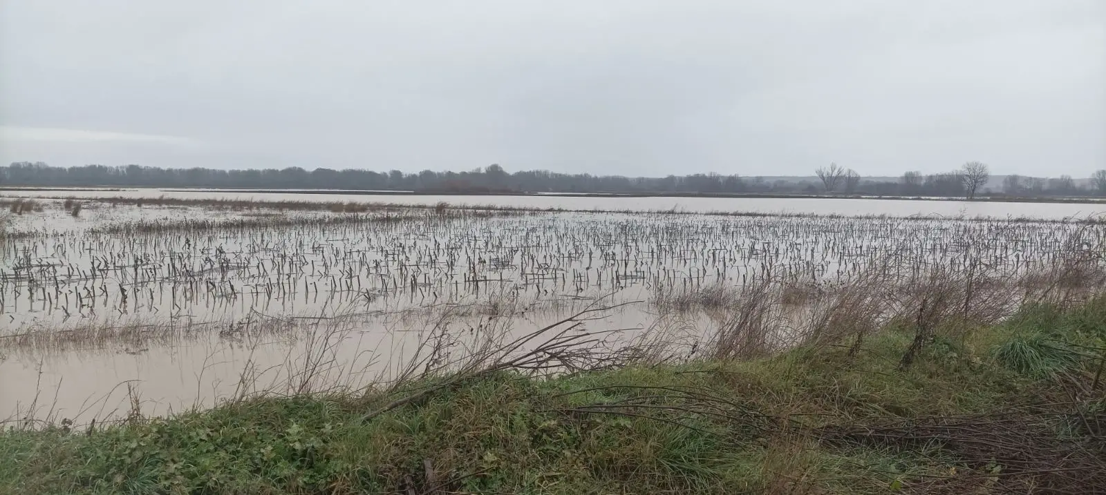 IMG-e1025acce761256fd26b8a72bf1f2477-V