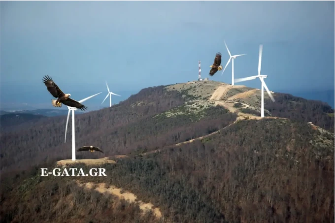 wind_turbines_eagles