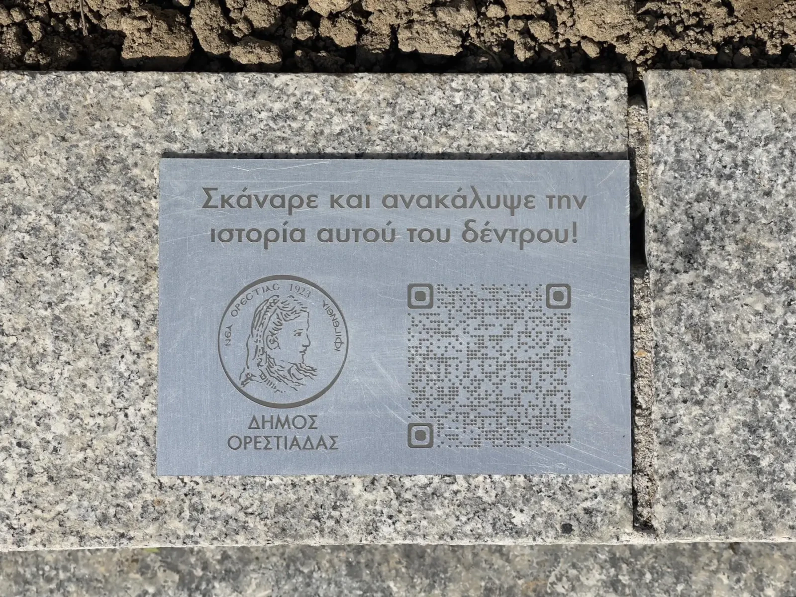 645771443_909244175350723_5277921902478048182_n