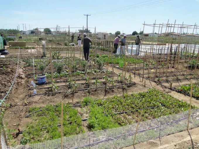 649702553_1362639702564368_8537278560293308495_n