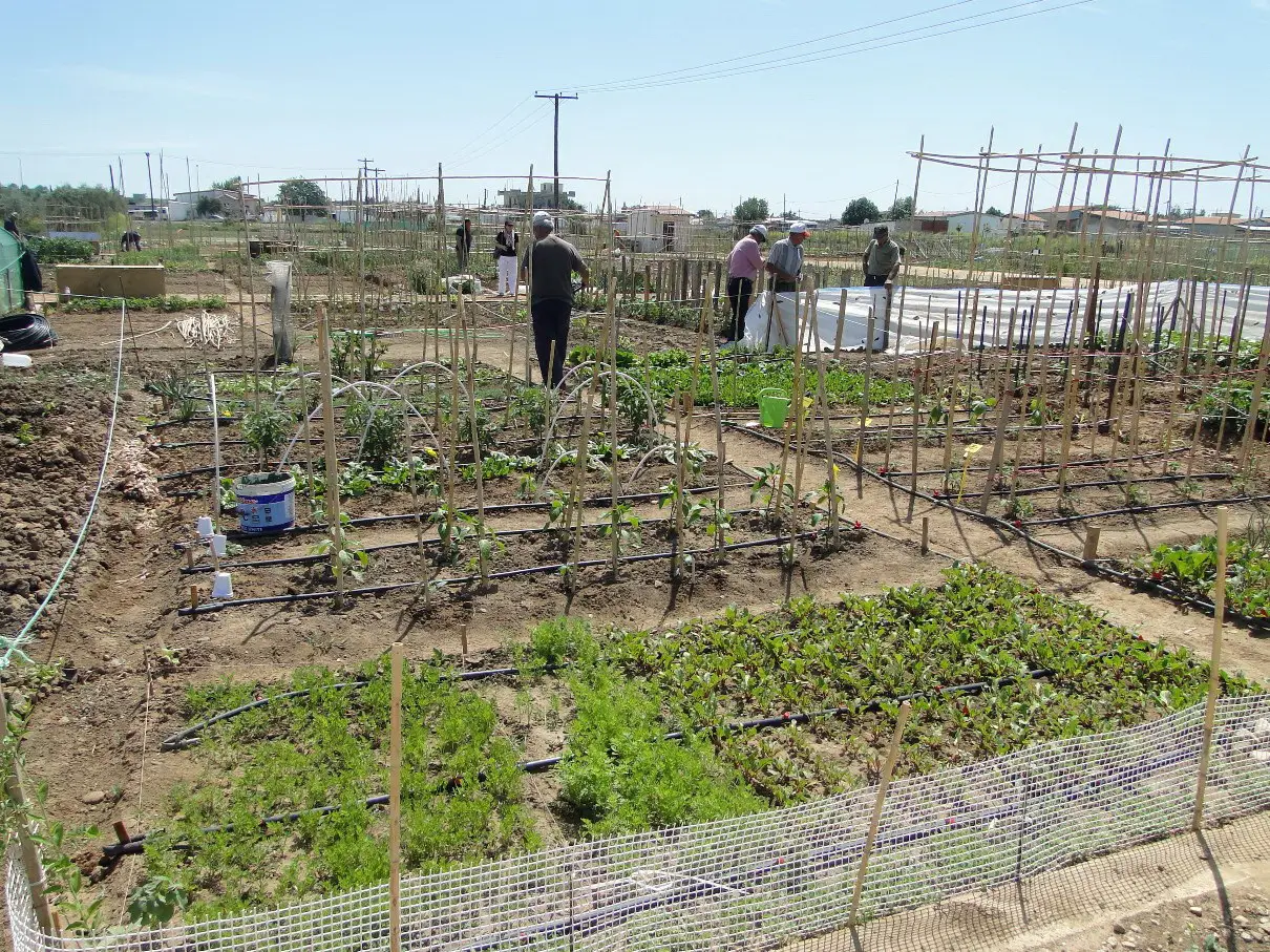 649702553_1362639702564368_8537278560293308495_n