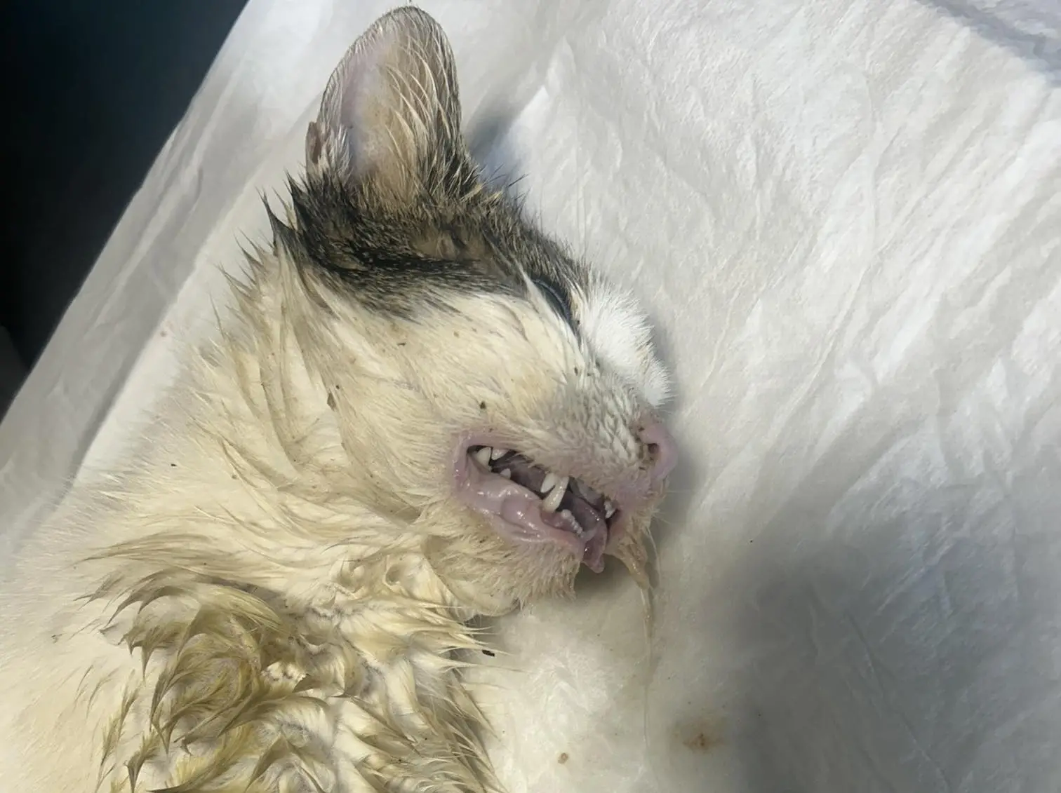 650032028_26032074883152262_6210583351071627218_n