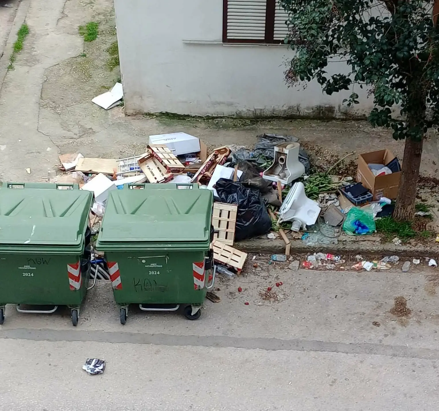 652872345_10233260485878434_2564906566178625475_n