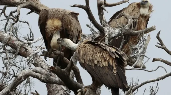 b2b5773e27ca4adaa683c3ebf5153242