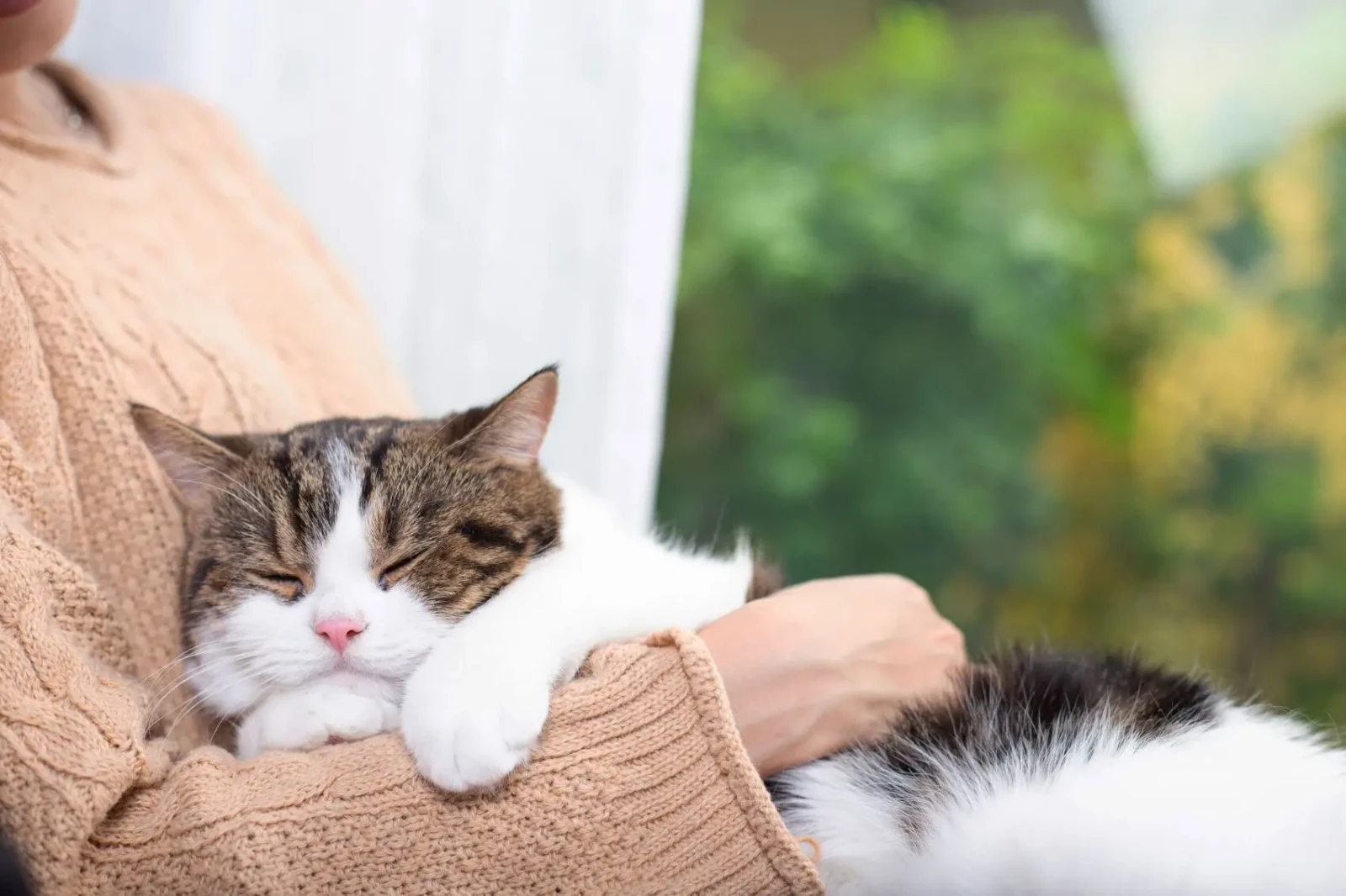 shutterstock_2197835993-e1773230074180