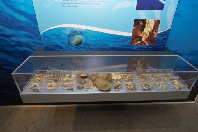 fysikis istorias (13)