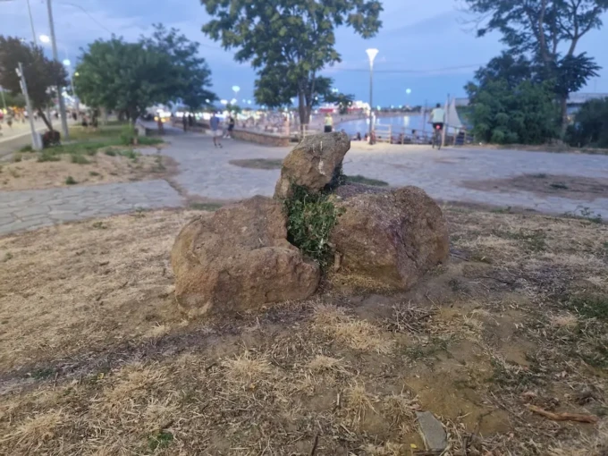 20260709_210653