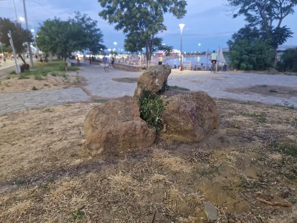 20260709_210653