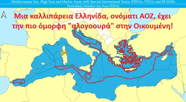 19. Δείτε επιτέλους τη ζημιά στον φιλομνήμονα αιώνα, από τη συμπλεγματική σας πολιτική.