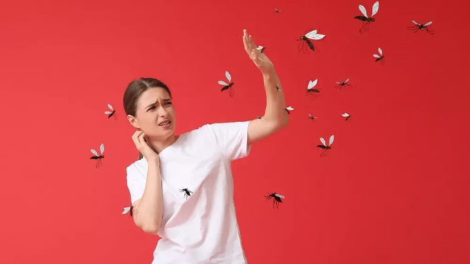 mosquitoes_kounoupia_shutterstock_2162332733