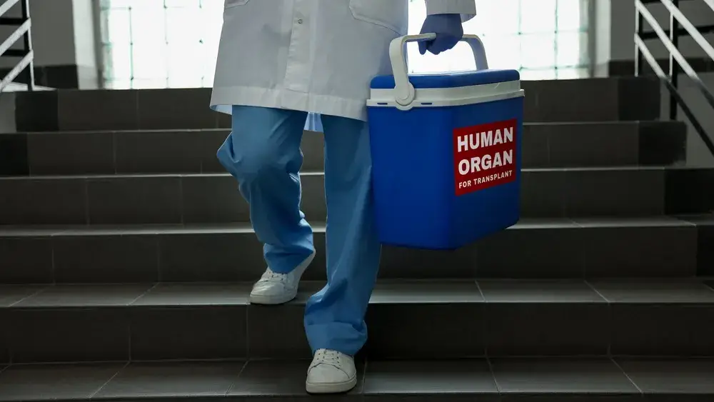 organ_donation_shutterstock_2779866375
