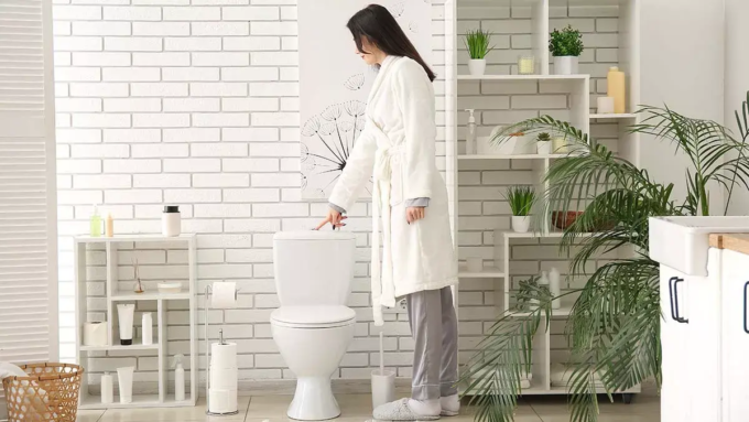 toilet_seat_2456790829